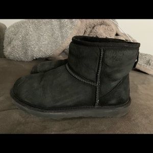 Classic Short UGGs